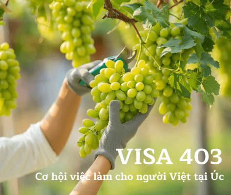 Visa 403 Úc, hay còn gọi là visa nông nghiệp Úc, là chương trình do Bộ Ngoại giao và Thương mại Úc điều hành nhằm thu hút lao động Việt Nam sang làm việc trong ngành nông nghiệp Úc